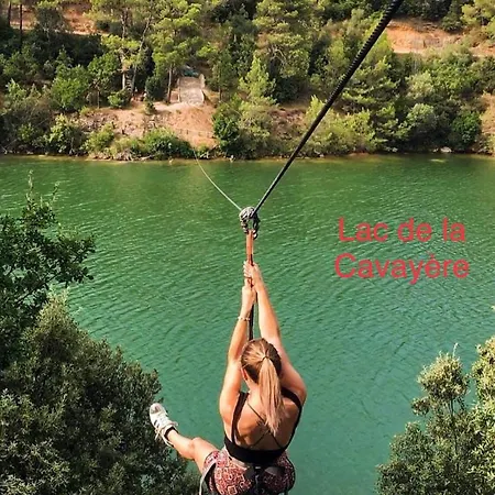 Les Iris